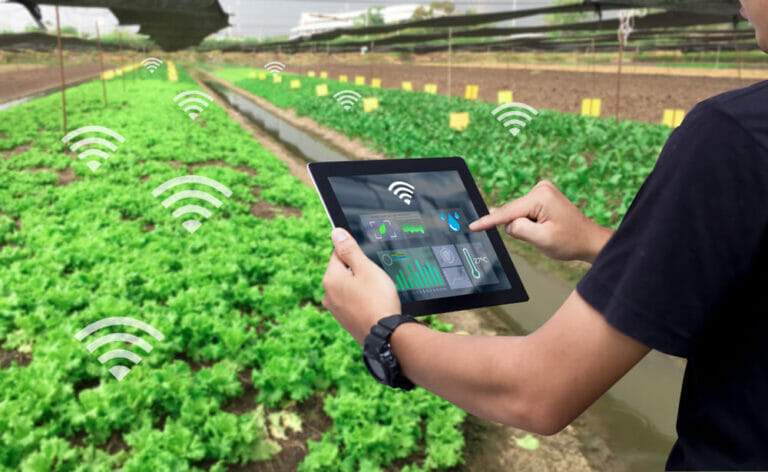 Smart Farming - Agricultura Automatizada E Conectada